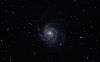 M101_web.jpg