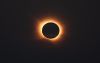 0S7A1580-gross.jpg