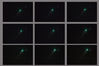 Komet-Lulin-Collage.jpg