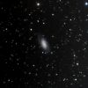 NGC2903_22B-1cut.jpg