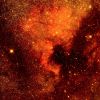 NGC7000cut-DSC04181_2_3_4_5_tonemapped-3-1.jpg