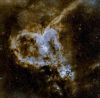 IC1805_2.jpg
